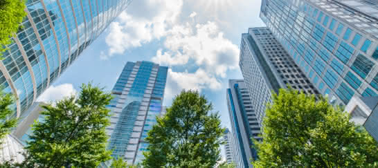 画像：協会概要